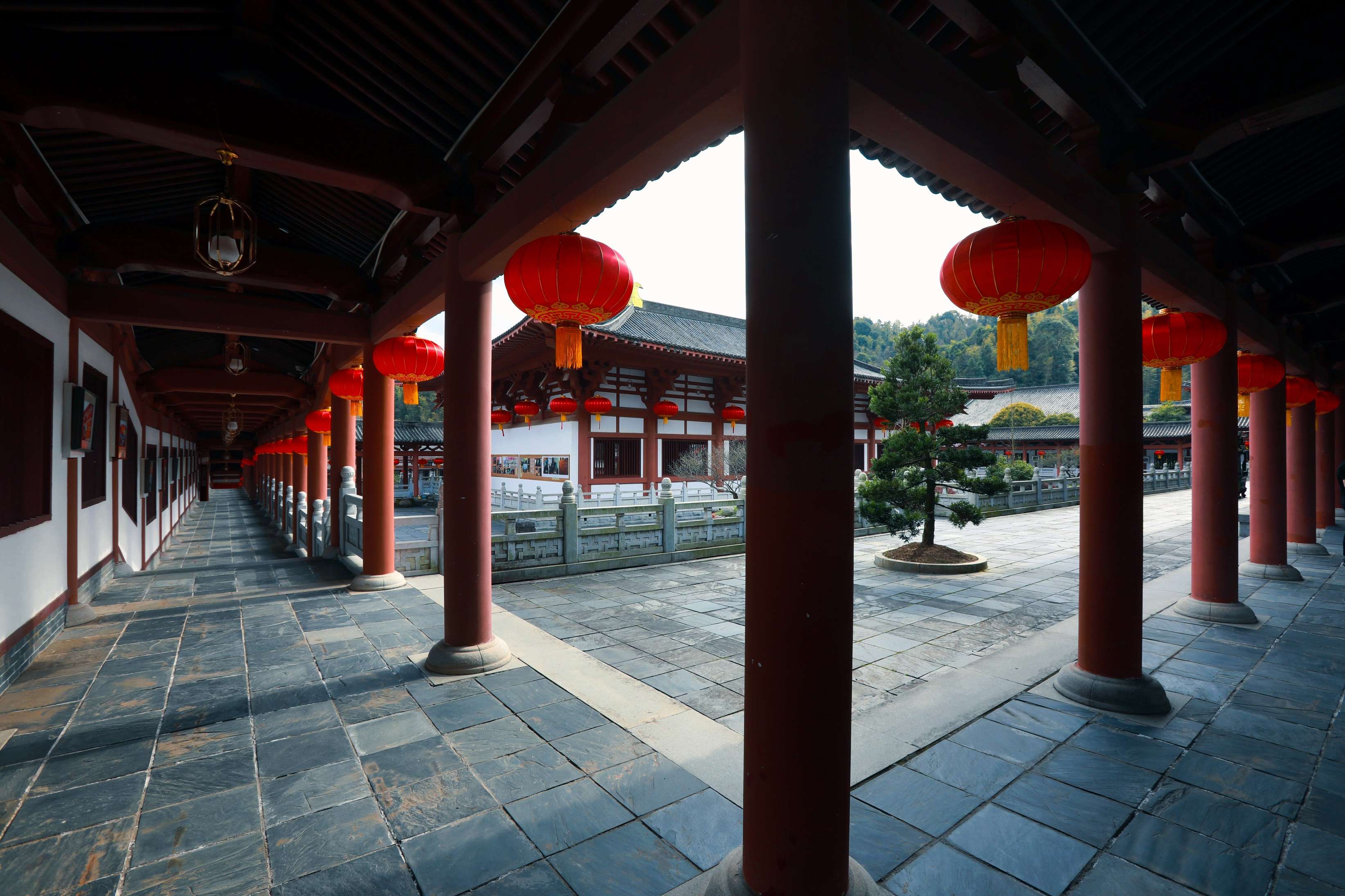 曹洞佛学院 - 大美佛学院